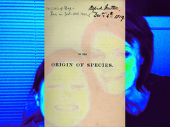 origin